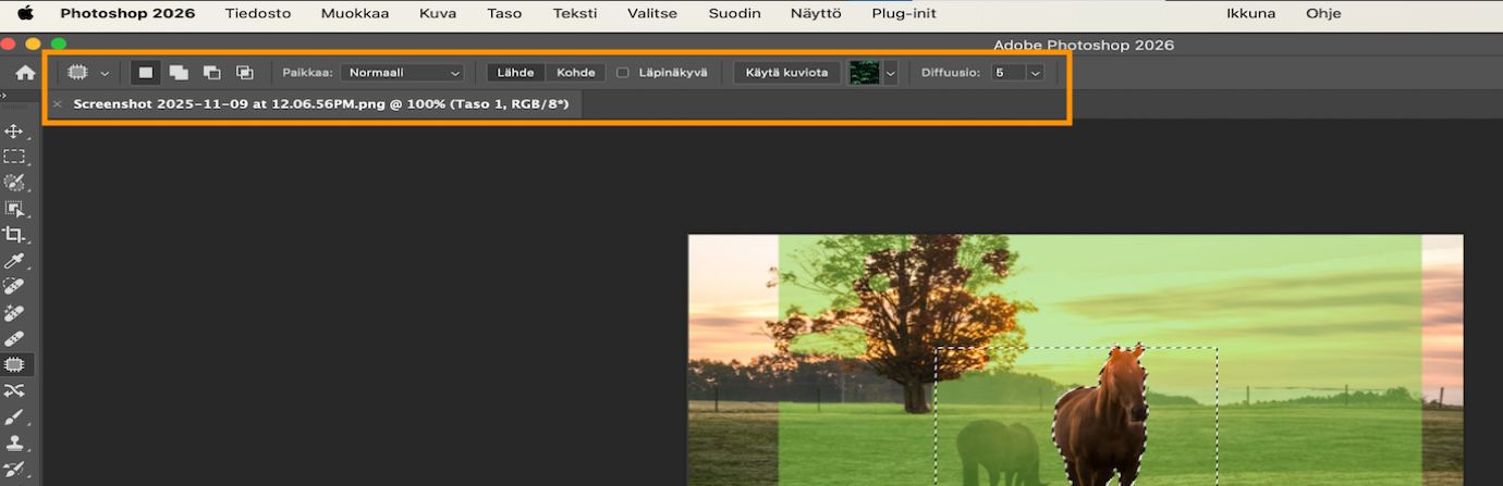 Paikkaustyökalun asetukset korostettuna asetusrivillä.