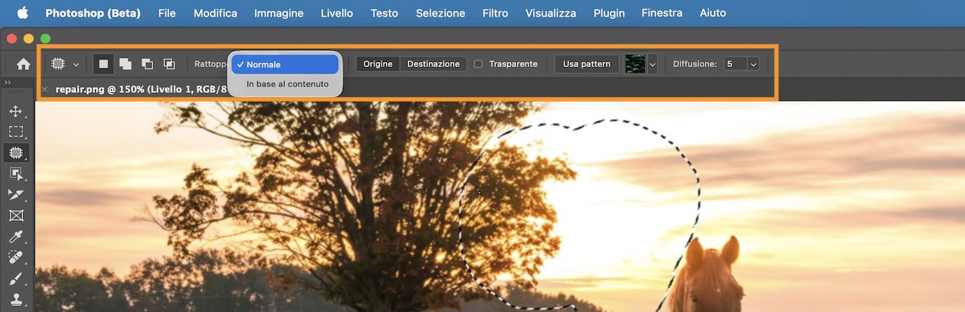 Evidenziazione delle impostazioni dello Strumento Toppa nella barra Options.