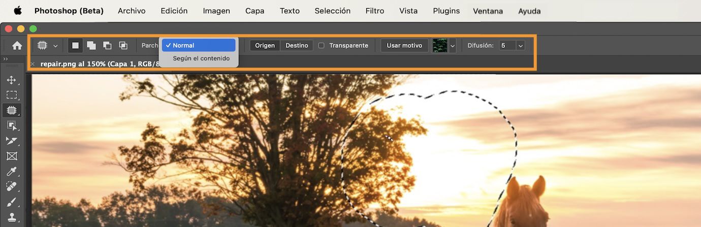 Resaltado de la configuración de la Herramienta Parche en la barra de Options.