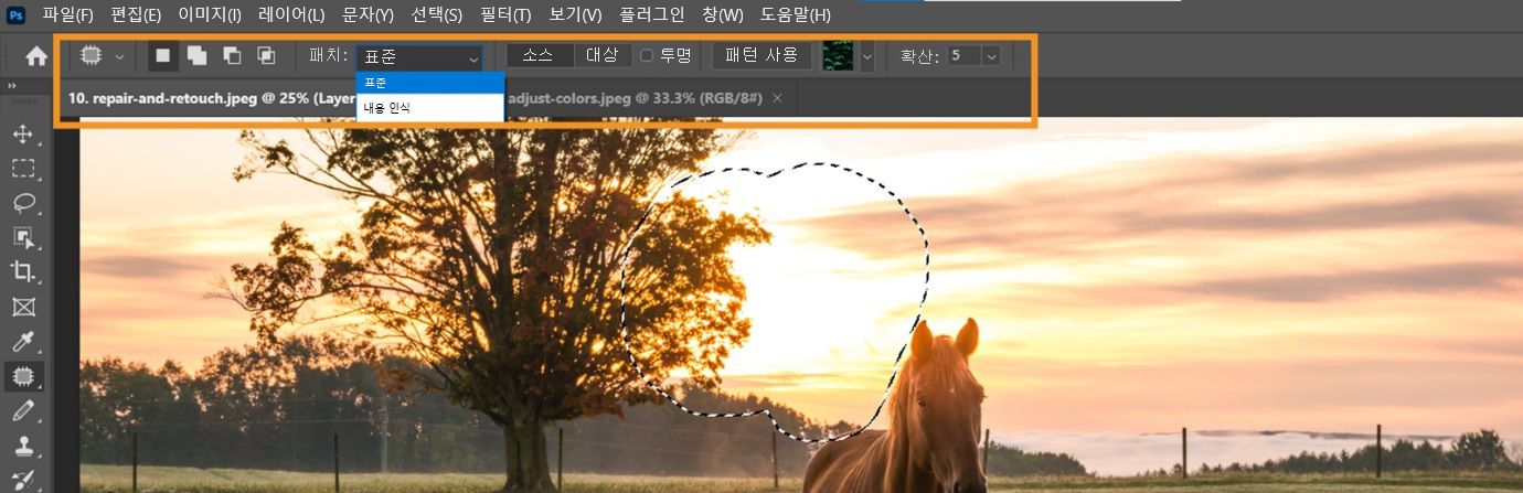 옵션 표시줄에서 패치 도구 설정 강조 표시