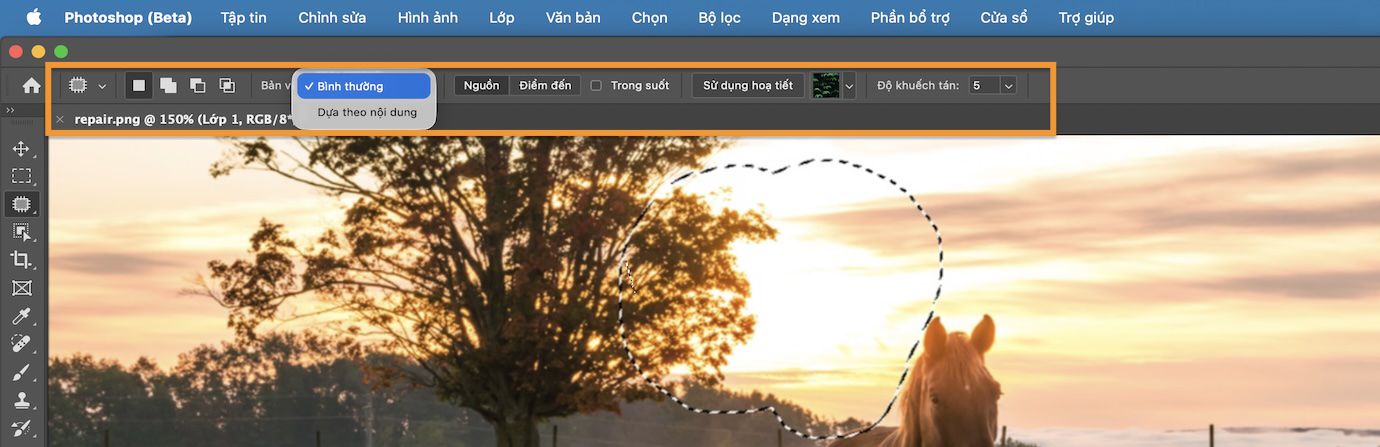 Cài đặt công cụ Đắp vá được đánh dấu trên thanh Tùy chọn.