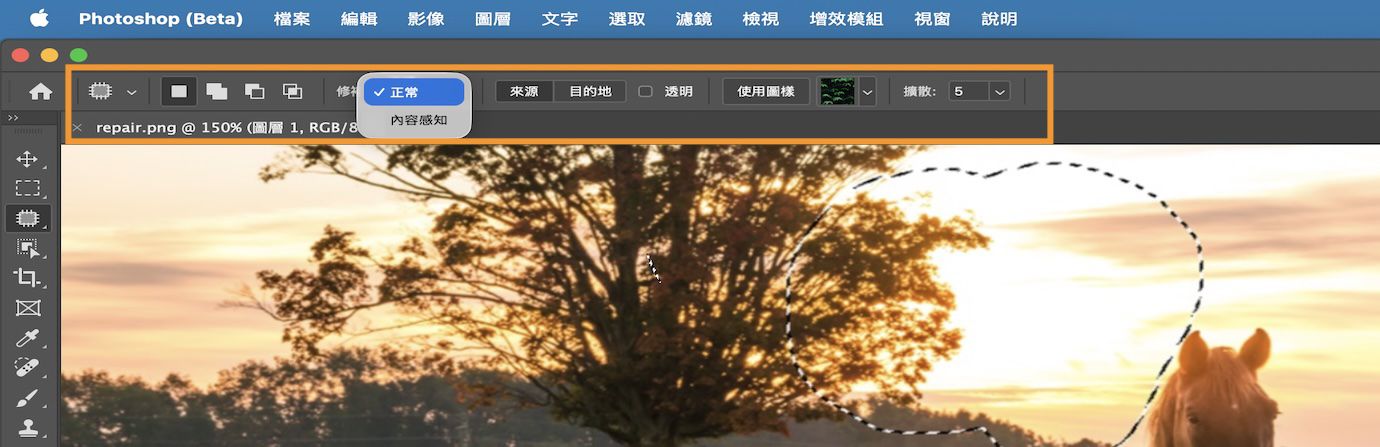 強調顯示「選項」列中的「修補」工具設定。