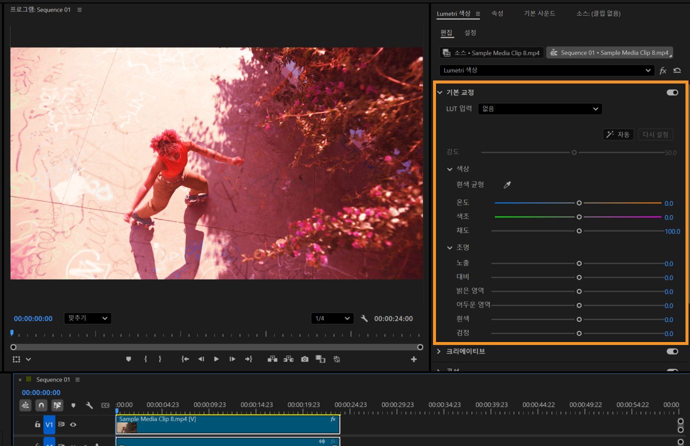 Lumetri Color 패널에서 강조된 기본 보정 섹션에는 온도, 색조, 채도, 노출, 대비 및 기타 빛과 색상 조정을 위한 슬라이더가 표시됩니다.