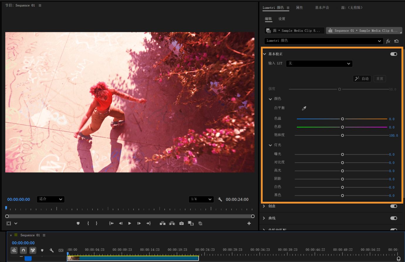Lumetri 颜色面板中高亮显示的“基本校正”部分，展示了用于色温、色调、饱和度、曝光度、对比度及其他光影色彩调整的滑块控件。