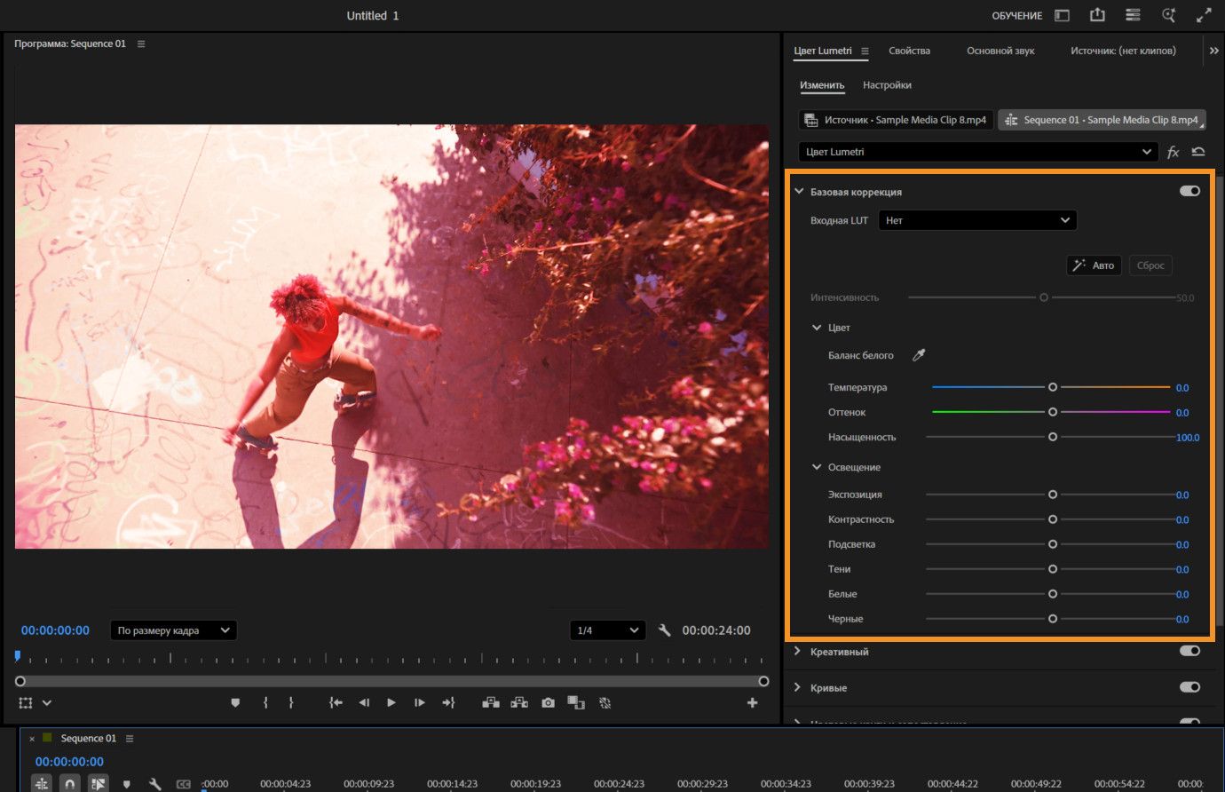 Выделенный раздел «Базовая коррекция» на панели Lumetri Color, показывающий ползунки для температуры, оттенка, насыщенности, экспозиции, контрастности и других настроек света и цвета.