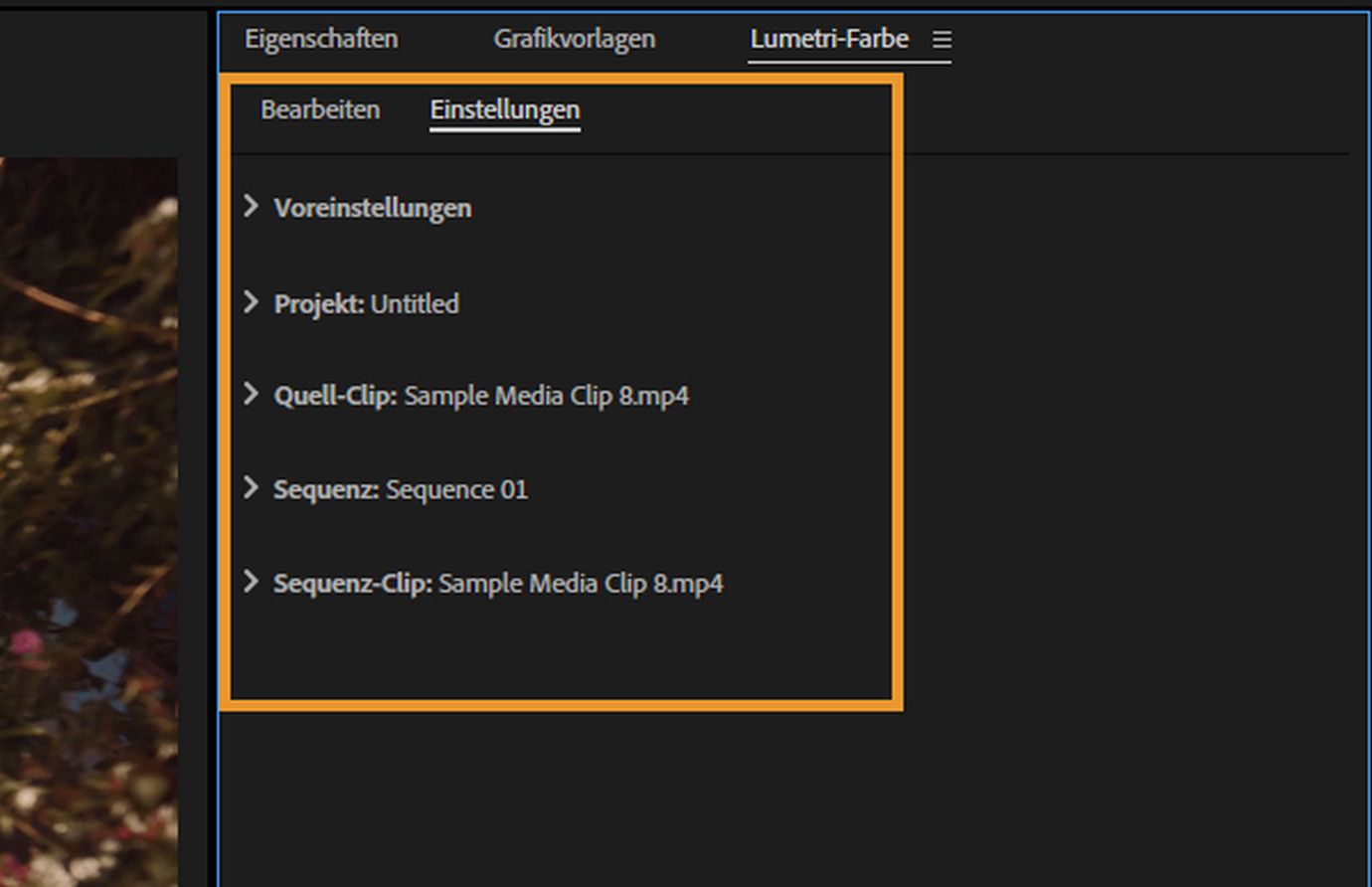 Hervorgehobene Registerkarte „Einstellungen“ im Bedienfeld „Lumetri-Farbe“ von Premiere Pro mit Details zu Projekt, Quell-Clip, Sequenz und Sequenz-Clip, die zur Verwaltung von Farbanpassungen verwendet werden.