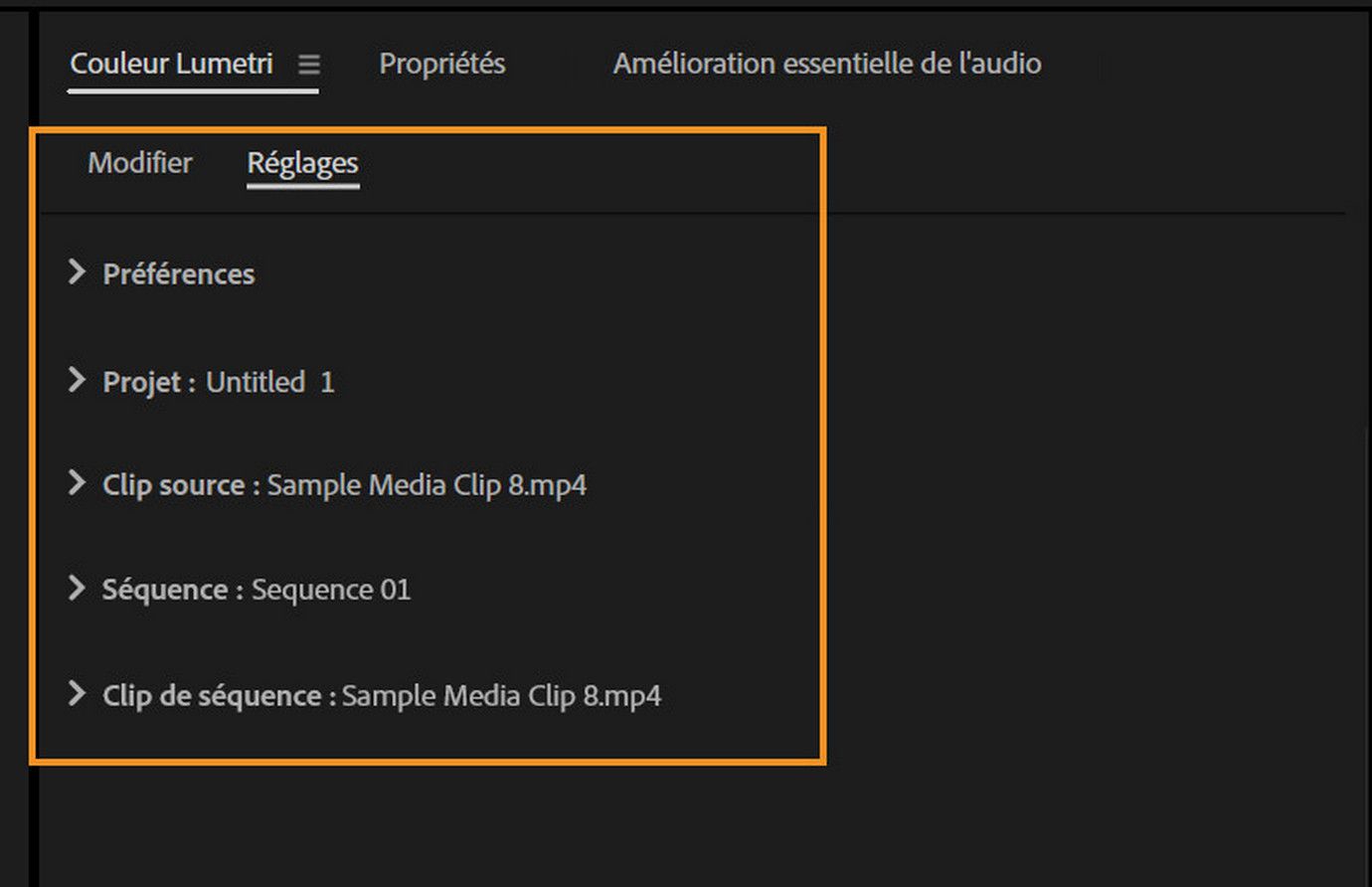 Onglet Paramètres mis en surbrillance dans le panneau Couleur Lumetri de Premiere Pro, montrant les détails du projet, du clip source, de la séquence et du clip de séquence utilisés pour gérer les réglages de couleur.