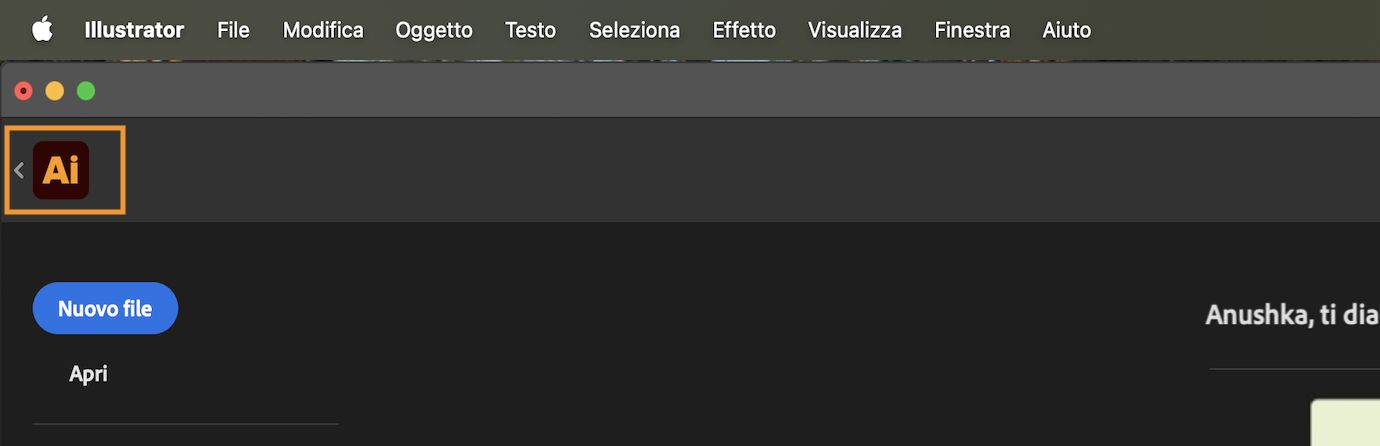 Schermata iniziale con freccia indietro accanto all'icona di Illustrator per tornare al documento primario.