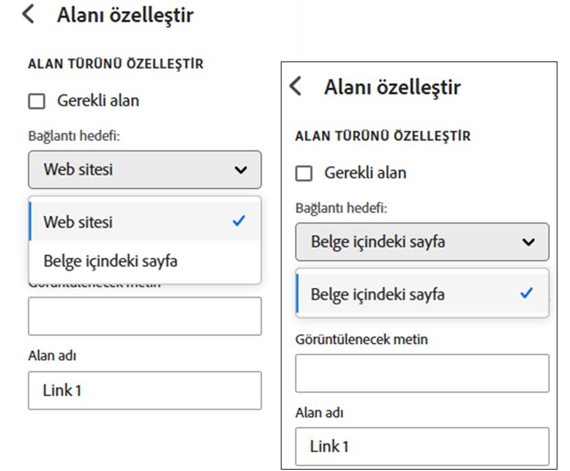 Normal köprü seçeneklerinin örnekleri ve harici seçeneği ortadan kaldıran bastırılmış sürüm.