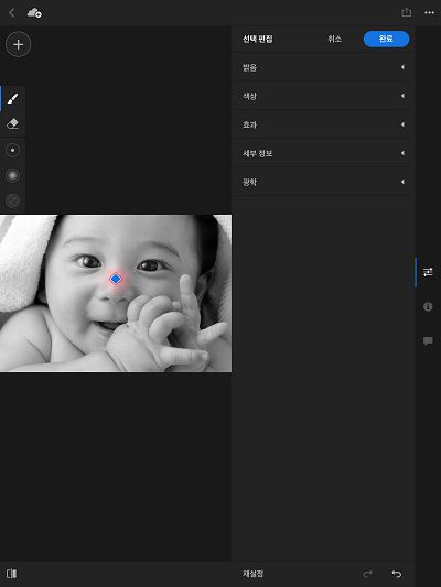 브러시 선택 도구를 사용하여 선택 편집 적용