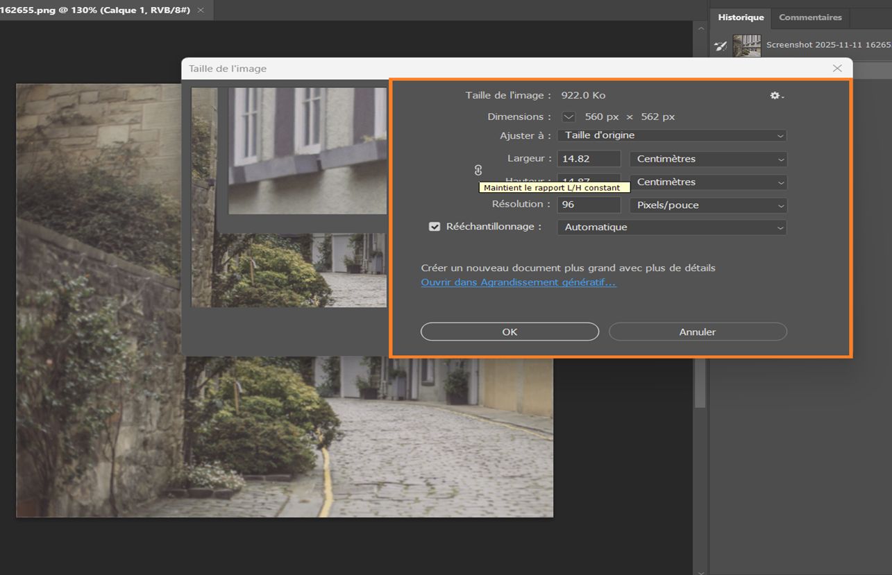 Boîte de dialogue Taille de l’image affichant la largeur et la hauteur en centimètres, une résolution de 144 PPP et le rééchantillonnage Au plus proche.