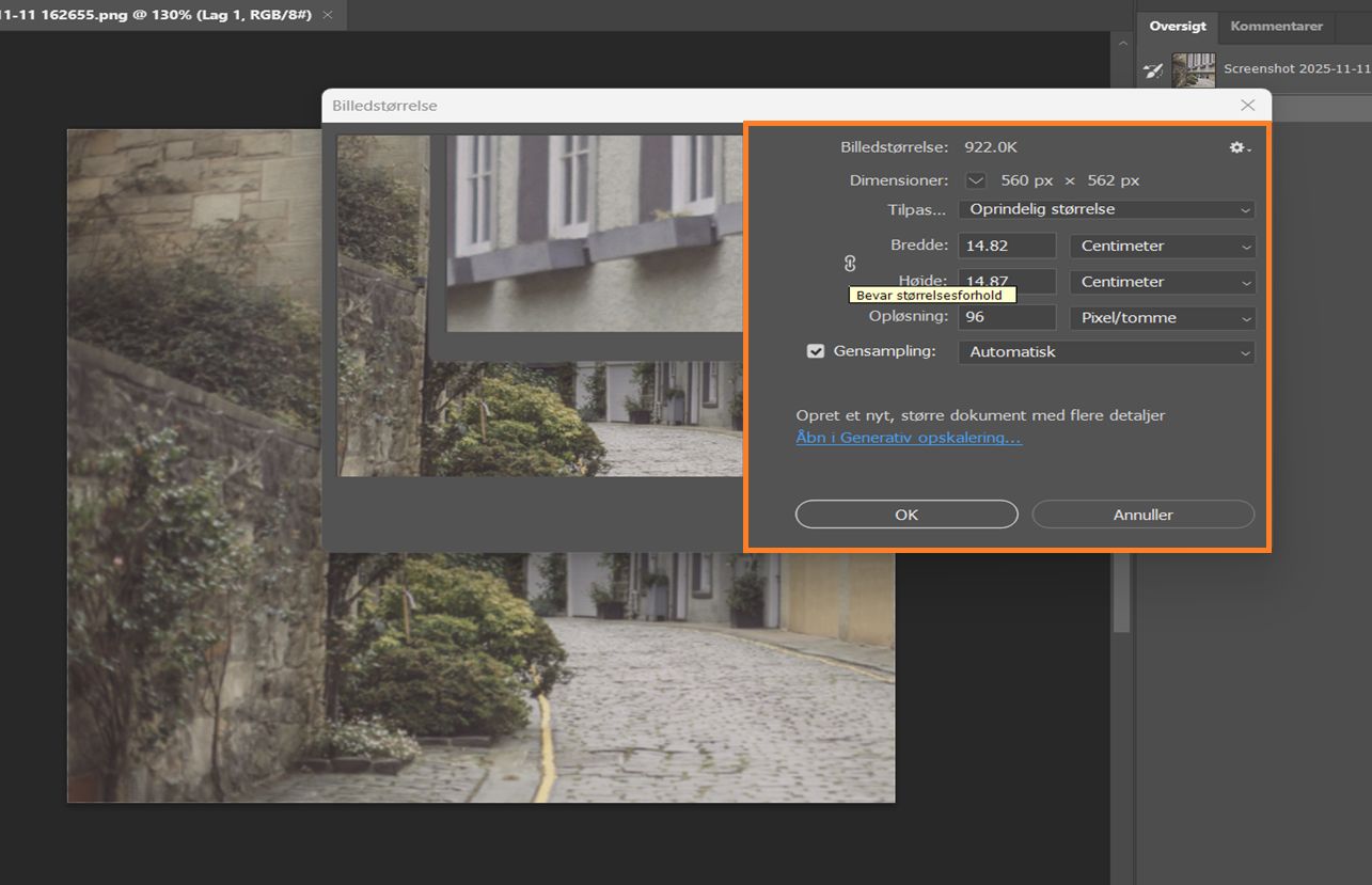 Dialogboksen Billedstørrelse viser bredde og højde i centimeter, 144 PPI-opløsning og Nærmeste nabo-gensampling.