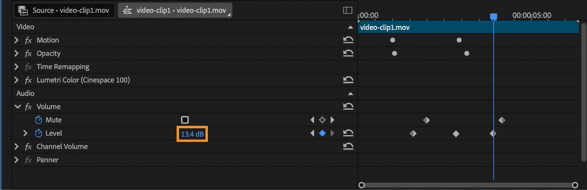 En la sección Audio del panel Effect Controls, hay un puntero para la Propiedad de Nivel que se puede arrastrar hacia la izquierda para disminuir o hacia la derecha para aumentar el Valor.