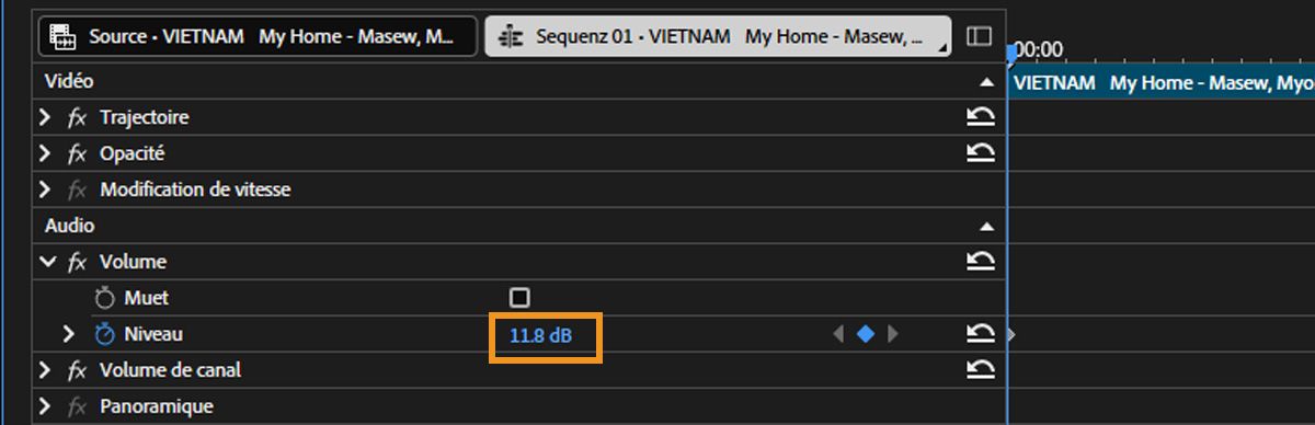 Dans la section Audio du panneau Options d’effet, il y a un pointeur pour la propriété Niveau qui peut être glissé vers la gauche pour diminuer ou vers la droite pour augmenter la valeur.