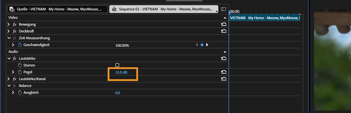 Im Bereich „Audio“ im Bedienfeld „Effekteinstellungen“ its ein Zeiger für die Eigenschaft „Level“ verfügbar, der zum Verringern des Werts nach links und zum Erhöhen des Werts nach rechts gezogen werden kann.