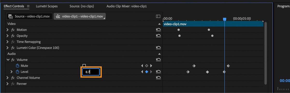 En la sección Audio del panel Effect Controls, la Propiedad de Nivel está activada, lo que le permite añadir un Valor personalizado.