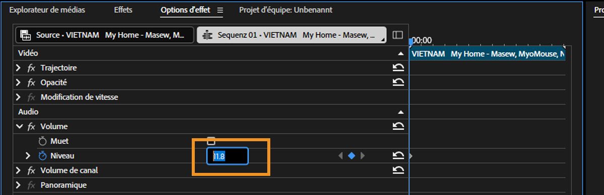 Dans la section Audio du panneau Options d’effet, la propriété Niveau est activée, vous permettant d’ajouter une valeur personnalisée.