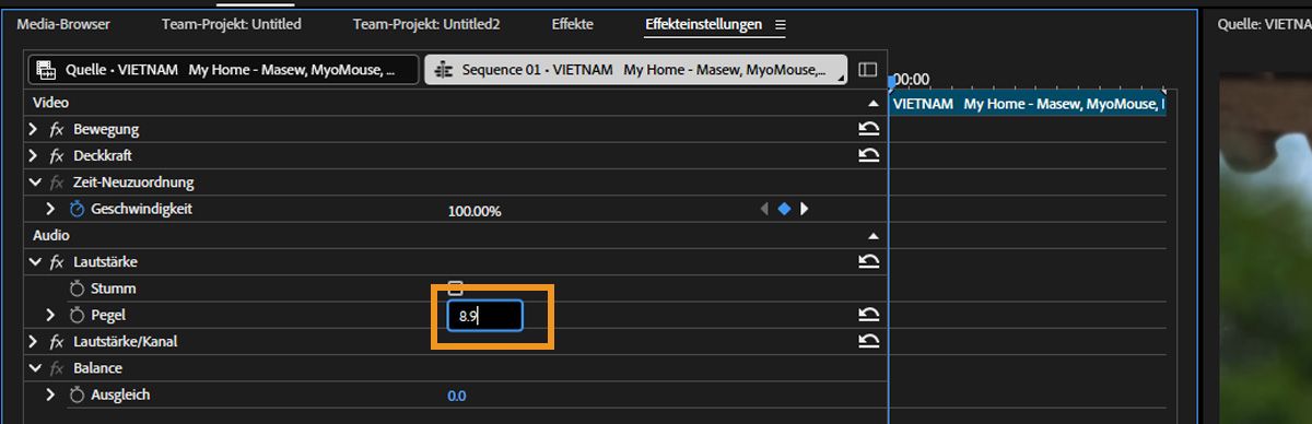 Im Bereich „Audio“ im Bedienfeld „Effekteinstellungen“ ist die Eigenschaft „Level“ aktiviert, sodass du einen benutzerdefinierten Wert hinzufügen kannst.