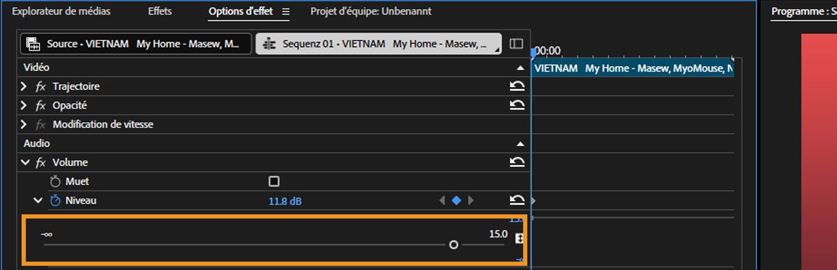 Dans la section Audio du panneau Options d’effet, la propriété Niveau est développée et il y a une option pour utiliser un curseur afin de modifier la valeur.