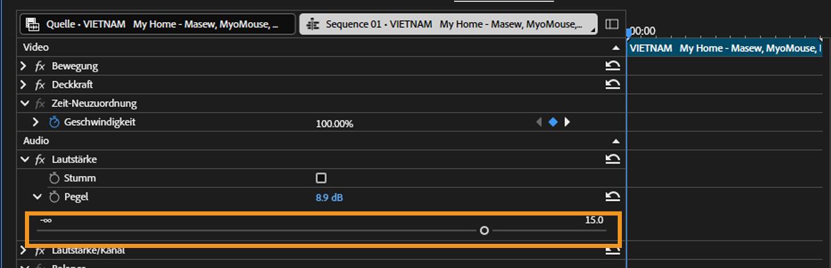 Im Bereich „Audio“ im Bedienfeld „Effekteinstellungen“ ist die Eigenschaft „Level“ erweitert und es besteht die Möglichkeit, einen Regler zum Ändern des Werts zu verwenden.