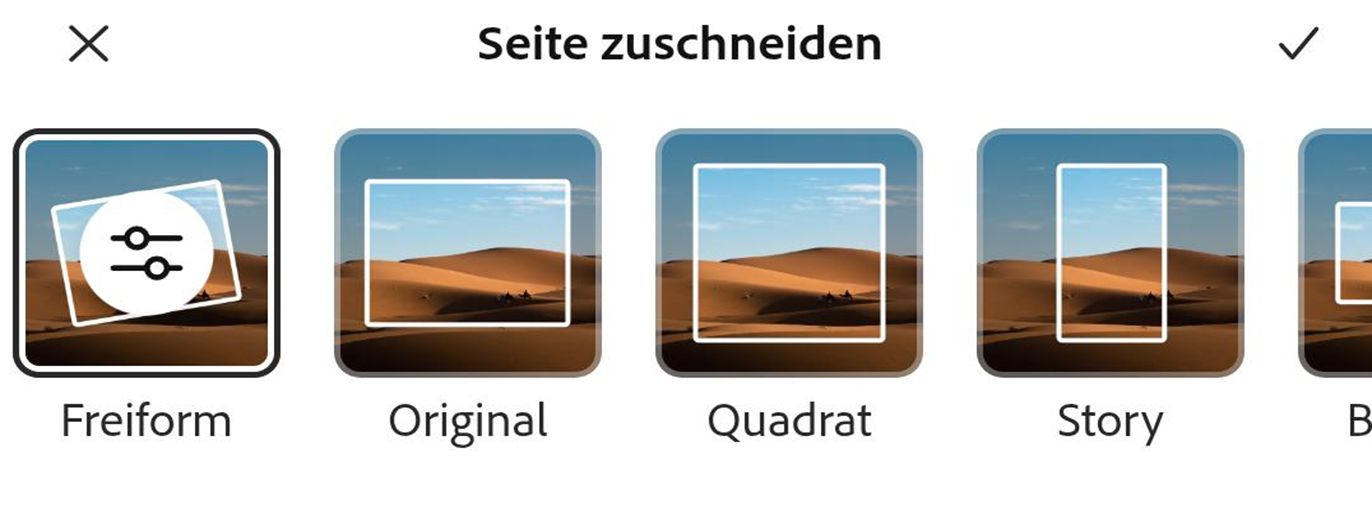 Wähle im Dialog „Zuschneiden“ unten die Größe aus dem Bereich „Grundeinstellungen“ oder „Formen“ aus, um das Bild in die gewünschte Form zuzuschneiden.