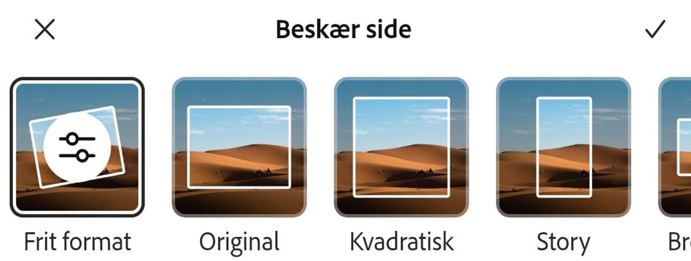 I dialogboksen Beskær nederst skal du vælge størrelsen fra sektionen Grundlæggende eller Former for at beskære billedet til den ønskede form.
