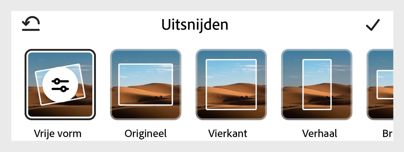 Selecteer in het dialoogvenster Uitsnijden onderaan de grootte uit de sectie Basis of Vormen om de afbeelding uit te snijden naar de gewenste vorm.