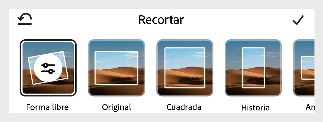 En el cuadro de diálogo Recorte en la parte inferior, selecciona el tamaño de la sección Básicos o Formas para recortar la imagen a la forma deseada.