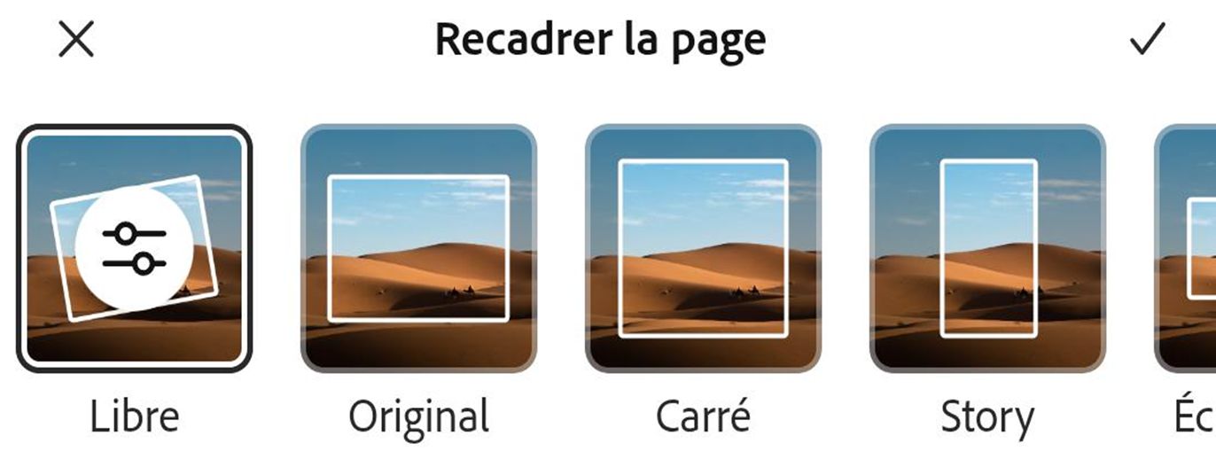 Dans la boîte de dialogue Recadrer en bas, sélectionnez la taille dans la section De base ou Formes pour recadrer l’image selon la forme souhaitée.