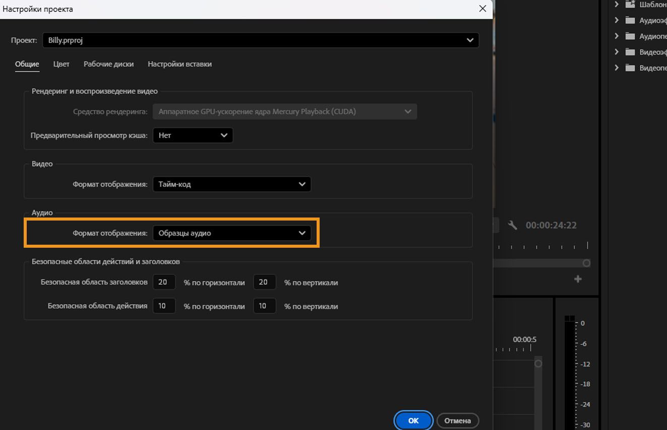 В диалоговом окне «Настройки проекта» выделена опция «Формат отображения» в разделе «Аудио».