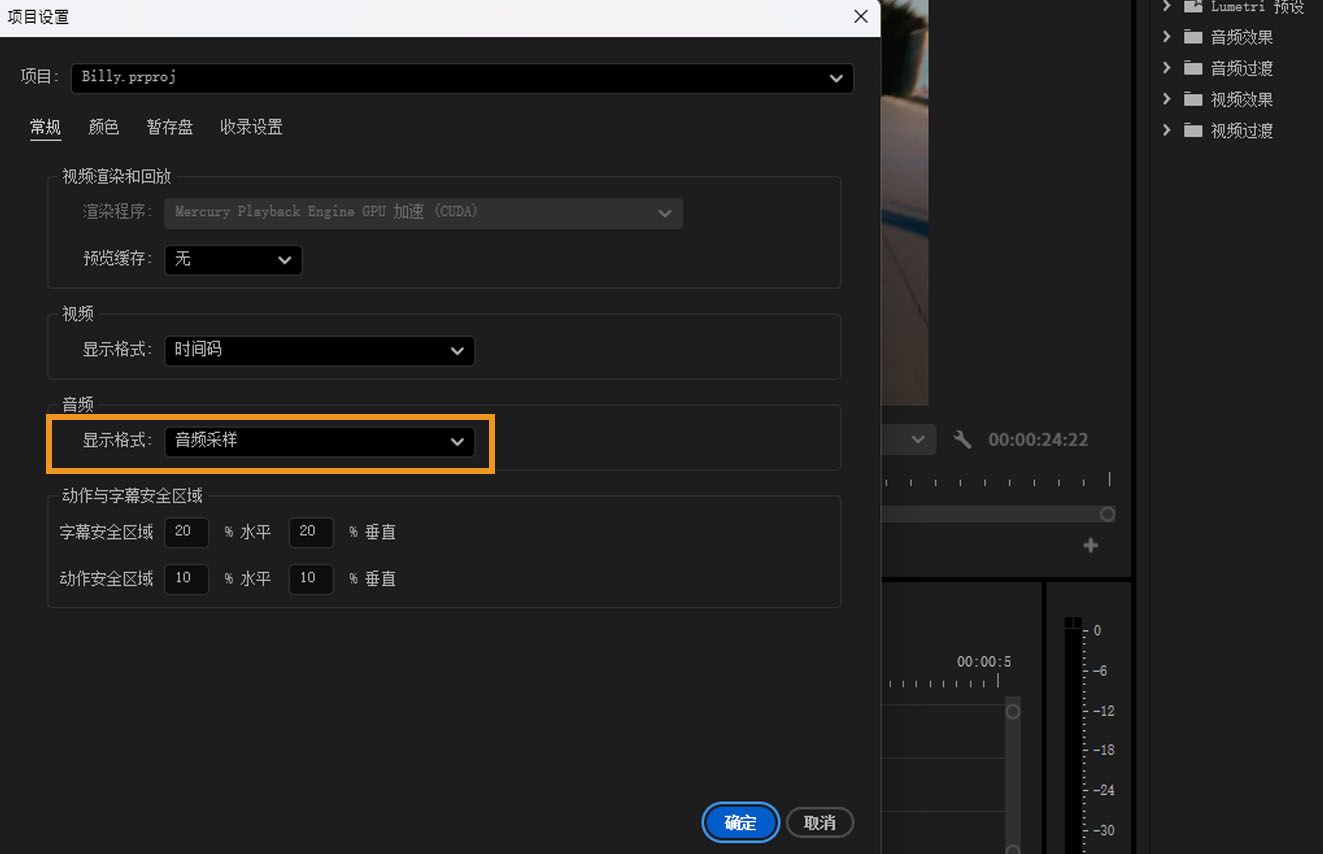 在“项目设置”对话框中，“音频”下的“显示格式”选项已突出显示。