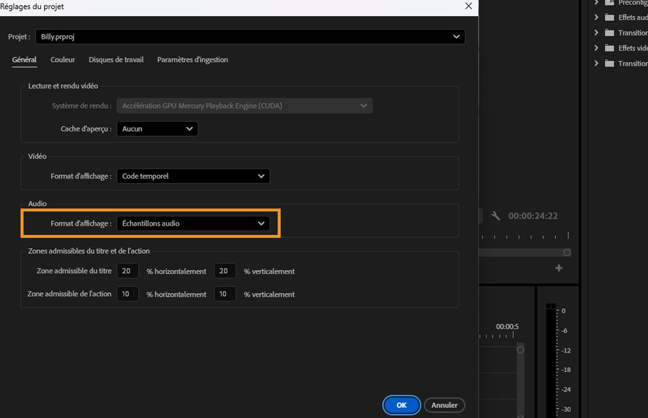 Dans la boîte de dialogue Paramètres du Projet, l'option Format d'affichage est mise en surbrillance sous Audio.