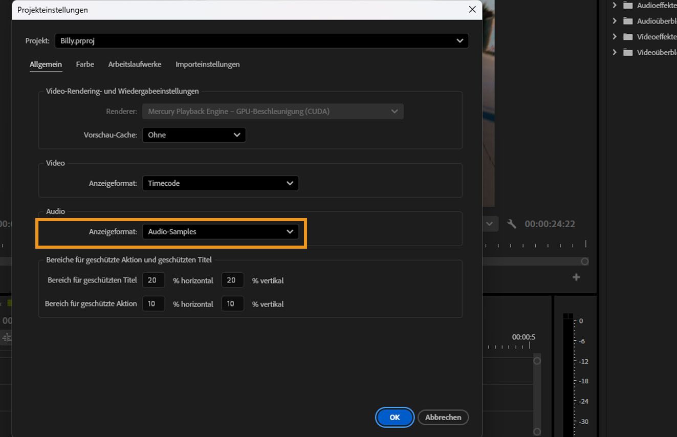 Im Dialogfeld „Projekteinstellungen“ ist unter „Audio“ die Option „Anzeigeformat“ hervorgehoben.