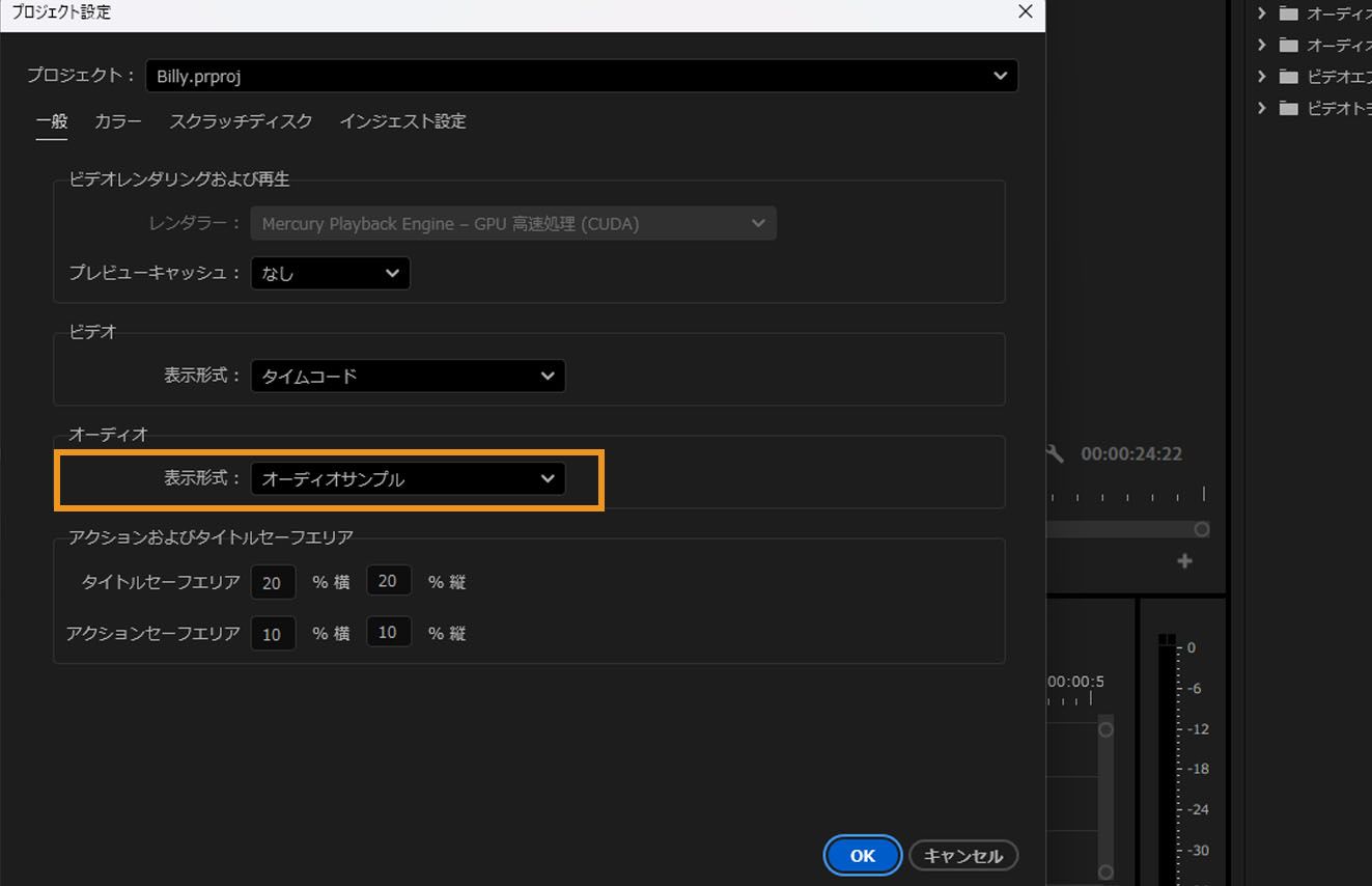 プロジェクト設定ダイアログボックスで、オーディオの下の表示形式オプションがハイライト表示されています。