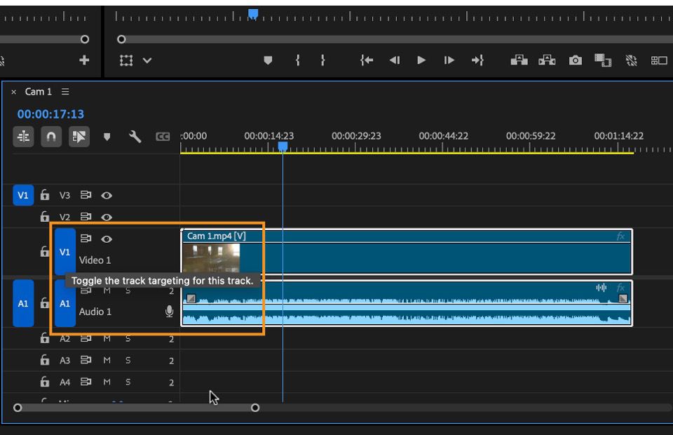 Las pistas V1 y A1 están seleccionadas en el panel Timeline para el panel Target y esta es una opción para activar o desactivar el panel Target para la pista seleccionada.