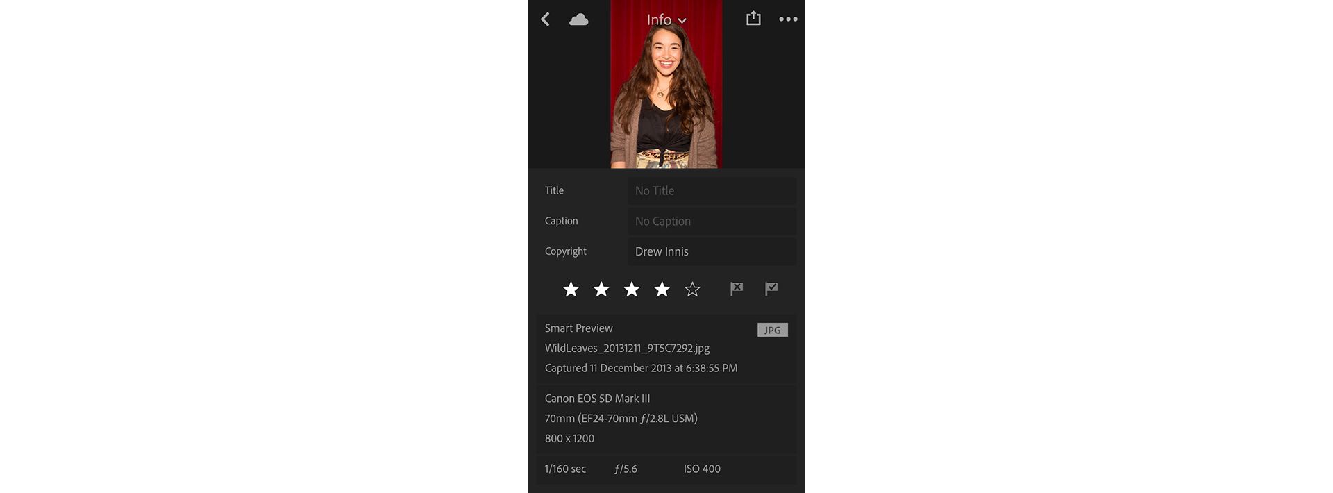 Lightroom mobile（iOS）の情報パネル