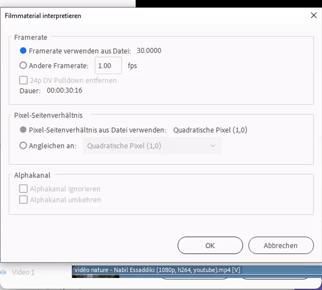 Filmmaterial interpretieren