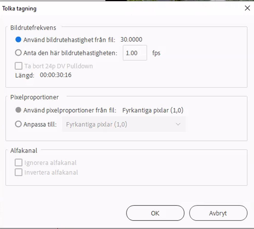 Tolka filmmaterial