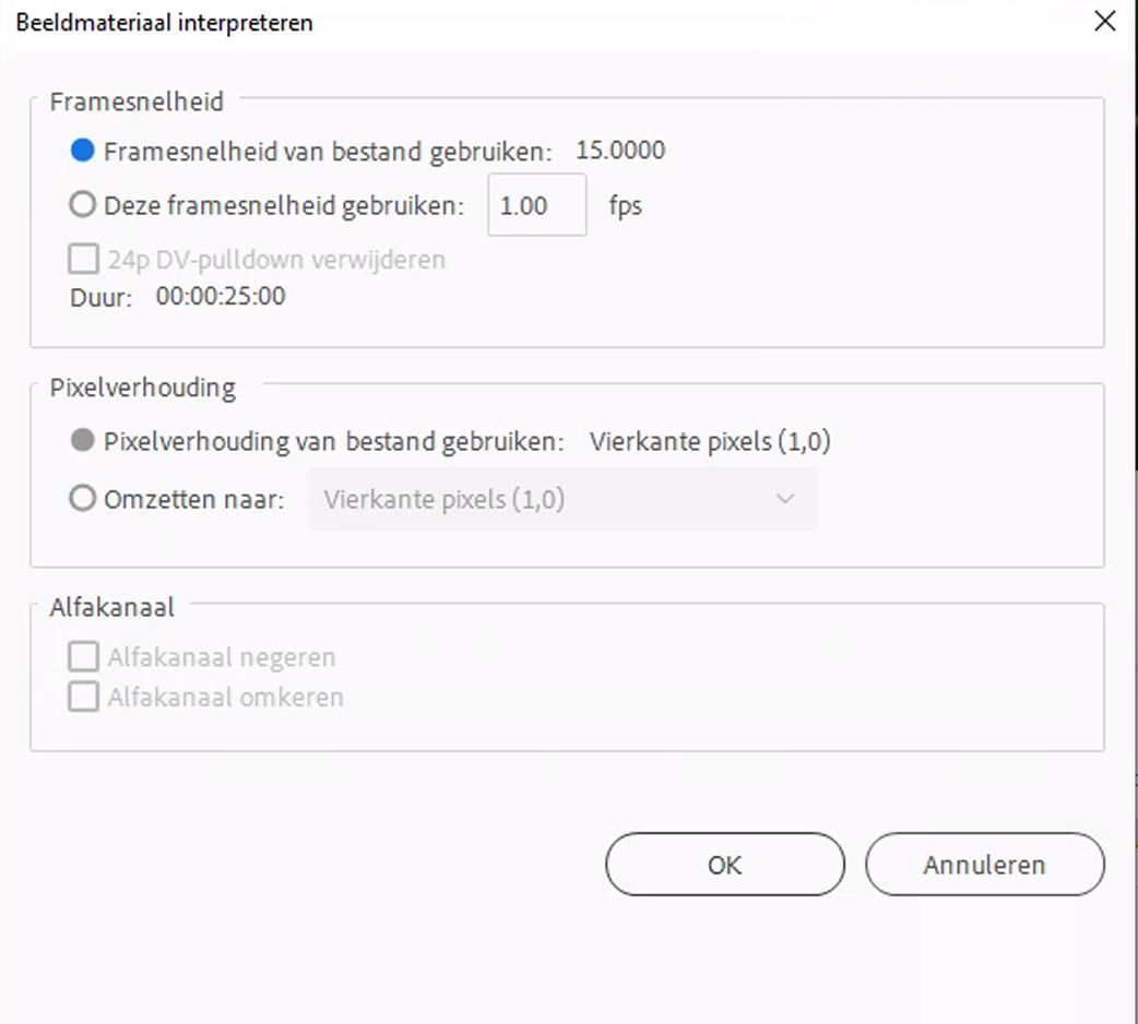 Beeldmateriaal interpreteren