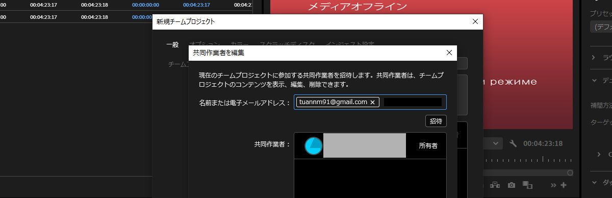 共同作業者を編集ダイアログボックスが開き、新しい Team Projects に新しい共同作業者を招待するオプションが表示されます。