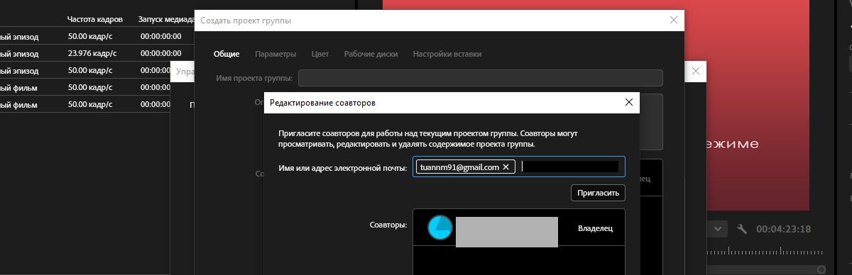 Открыто диалоговое окно «Изменить соавторов», и есть возможность пригласить новых соавторов в новые Team Projects.