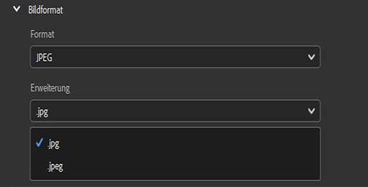 Wähle das JPEG-Bildformat aus, und lege die gewünschte Dateierweiterung fest.