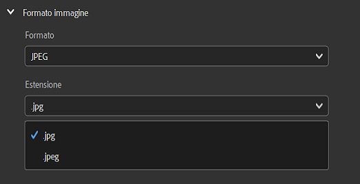 Selezionate il formato di immagine JPEG e impostate l'estensione del file da utilizzare.