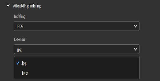 Selecteer de JPEG-afbeeldingsindeling en stel de gewenste bestandsextensie in.