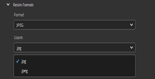 Kullanıcılar artık dosyayı .jpg dosya adı uzantısında dışa aktarabilir.