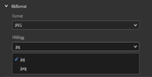 Välj bildformatet JPEG och ange önskat filtillägg.