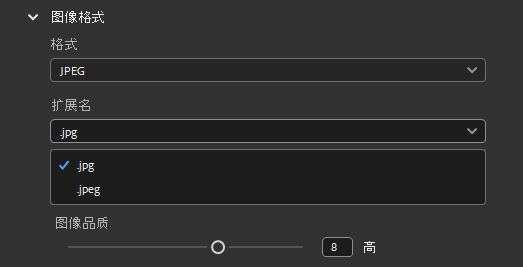 选择 JPEG 图像格式并设置所需的文件扩展名。