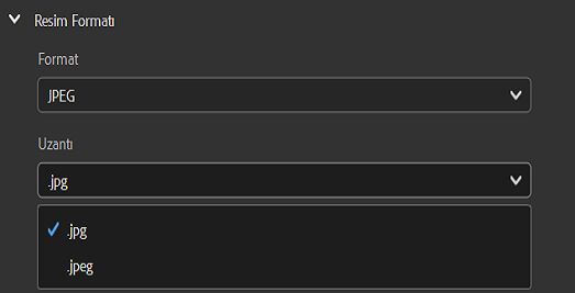 JPEG görüntü formatını seçin ve istediğiniz dosya uzantısını ayarlayın.