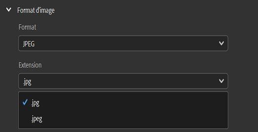 Les utilisateurs peuvent désormais exporter un fichier avec l’extension de nom de fichier .jpg.
