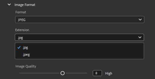 Select the JPEG image format and set the desired file extension.